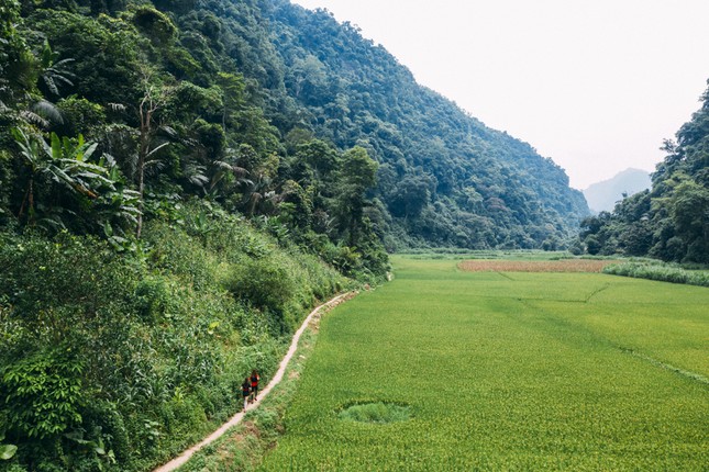 Giải chạy siêu địa hình ba bể Jungle Marathon 2021 ảnh 2
