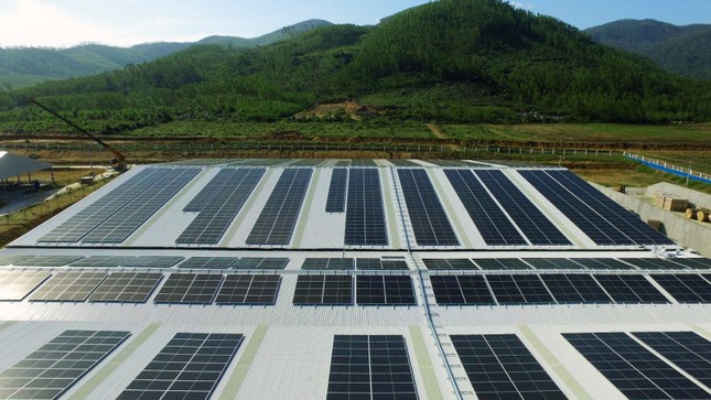12 trang trại bò sữa 4.0 của Vinamilk đang được triển khai dùng năng lượng mặt trời ảnh 5