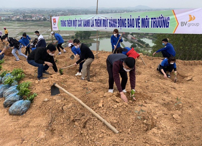 BV Group tài trợ 30,000 cây xanh cho Bắc Giang ảnh 2