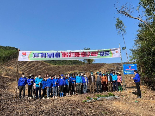 BV Group tài trợ 30,000 cây xanh cho Bắc Giang ảnh 3