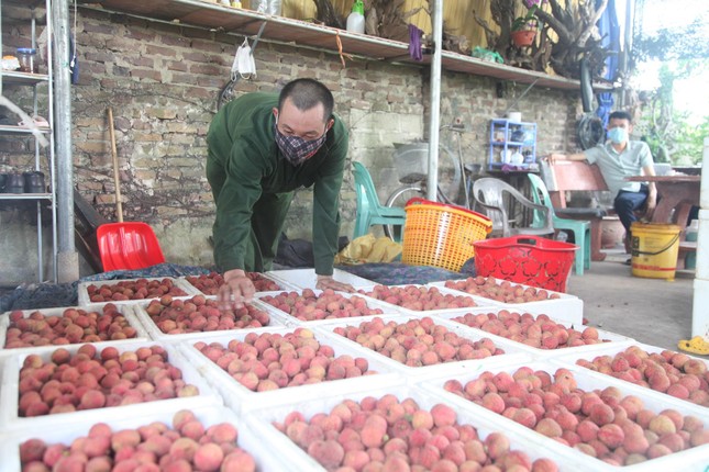 'Đi chợ' bán vải giúp nông nhân Bắc Giang ảnh 2