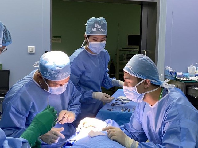 SK hỗ trợ phẫu thuật miễn phí cho trẻ em Việt Nam bị dị tật hàm mặt ảnh 3