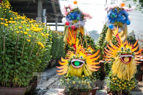 Mãn nhãn sắc Xuân trên đất Thủ ngày cận Tết ảnh 8