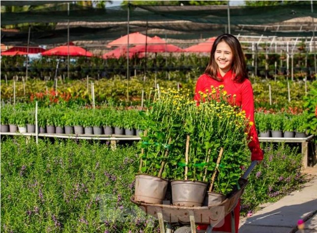 Mãn nhãn sắc Xuân trên đất Thủ ngày cận Tết ảnh 5