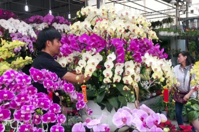 Mãn nhãn sắc Xuân trên đất Thủ ngày cận Tết ảnh 2