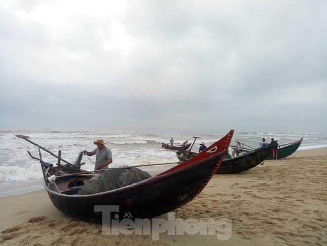 Ngư dân vượt sóng dữ kiếm ‘lộc trời’ ngày 30 Tết ảnh 2