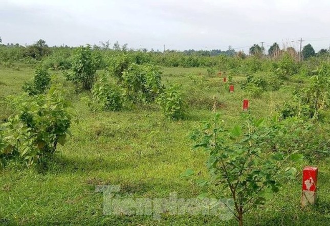 Công an mời ‘ông lớn’ BĐS đến làm việc liên quan dự án hàng nghìn tỷ ở Bình Dương ảnh 3
