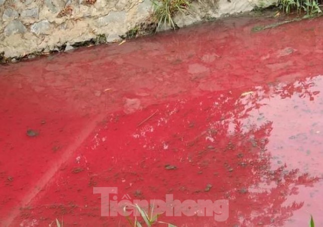 Con suối xuất hiện màu đỏ như máu ở Bình Dương ảnh 1