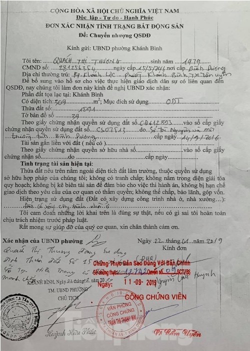 Chủ tịch phường xác nhận sai hiện trạng đất, người dân dính 'quả đắng' ảnh 1