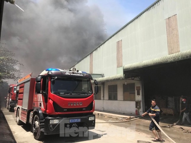 Công ty gỗ rộng 5.000m2 ở Bình Dương chìm trong biển lửa ảnh 3