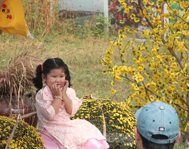 Thiên đường hoa Bình Dương ‘đốn tim’ du khách ảnh 4