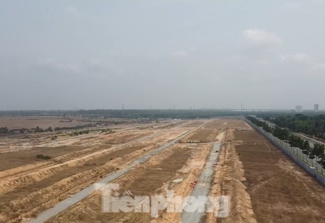 Vì sao nguyên Cục trưởng Thuế Bình Dương và thuộc cấp bị bắt? ảnh 1