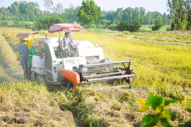 25- 30% tổng lượng khí thải ở Việt Nam từ sản xuất nông nghiệp ảnh 2