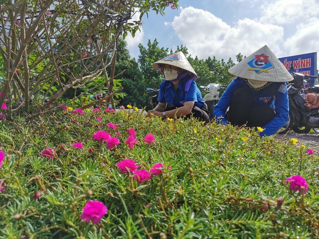 Tuổi trẻ Cần Thơ chung tay xây dựng nông thôn mới ảnh 3