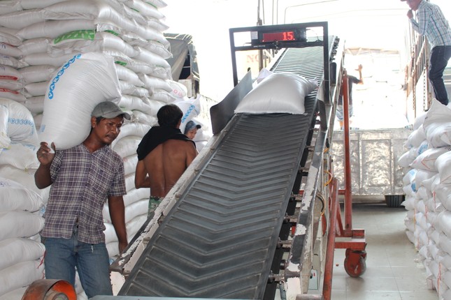 Ngân hàng ở Cần Thơ lo 7.700 tỷ cho vay như 'ngàn cân treo sợi tóc' ảnh 2