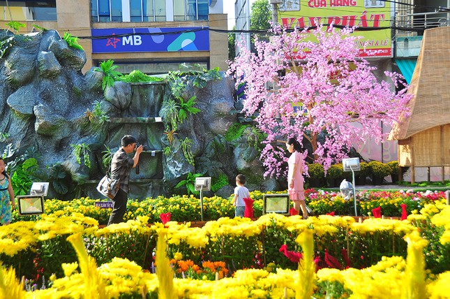 Đường hoa xuân Cần Thơ được làm từ 85 nghìn chậu phục vụ du khách ảnh 17