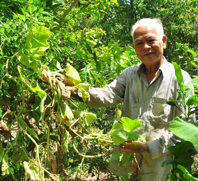 Người dân ngày đêm oằn mình với hạn mặn khốc liệt nhất lịch sử ảnh 4