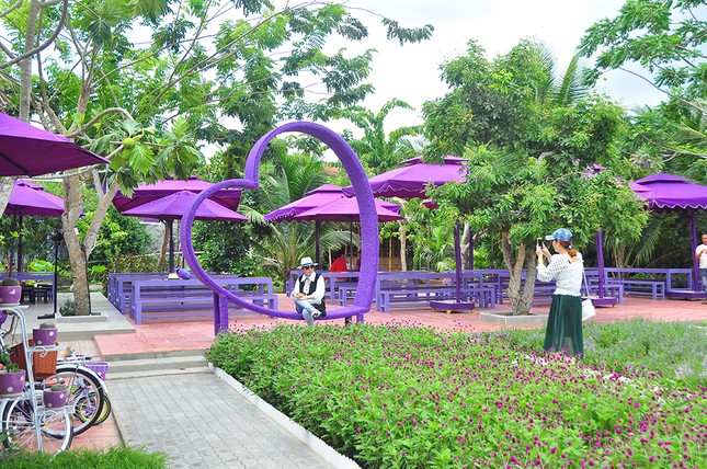 Căn nhà màu tím độc đáo ở Cần Thơ hút khách đến 'check-in' ảnh 1