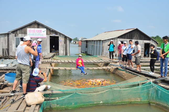 Du lịch ĐBSCL thiệt hại nặng do dịch COVID - 19 ảnh 2