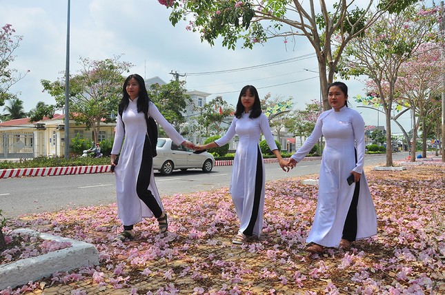 Con đường hoa kèn hồng ở miền Tây lung linh như phim Hàn thu hút giới trẻ ảnh 1