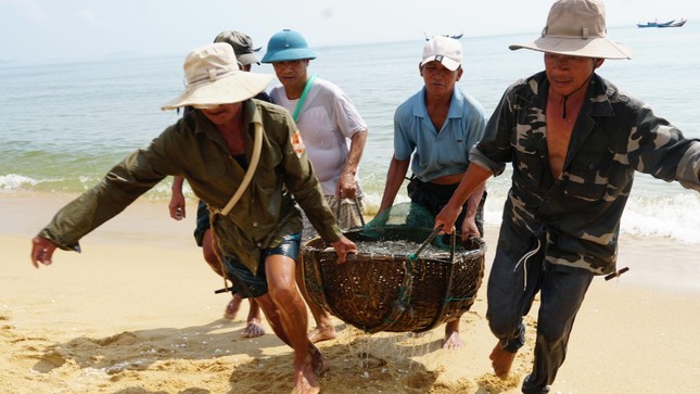Ngư dân Quảng Bình trúng đậm cá cơm ảnh 1