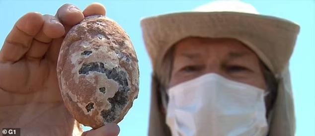 Bí mật bất ngờ từ ổ trứng hóa thạch 'khủng' bị chôn vùi 60 triệu năm trước ảnh 3