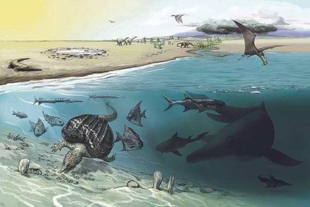 Ly kỳ quái vật biển dài 20m chết trên núi cao khiến nhóm khảo cổ choáng váng - Ảnh 1.