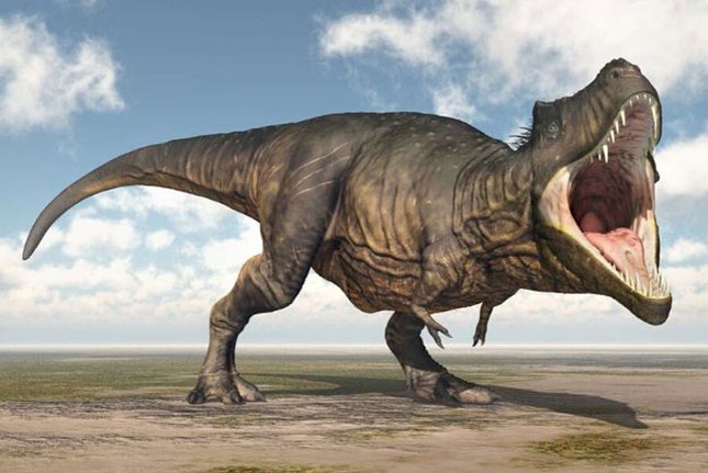 Top 10 sự thật ít người biết về loài khủng long ăn thịt đáng sợ nhất thế giới ảnh 7