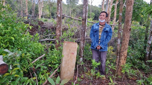 Khởi tố 7 đối tượng phá 35.000 m2 rừng bao ở Phú Quốc ảnh 2