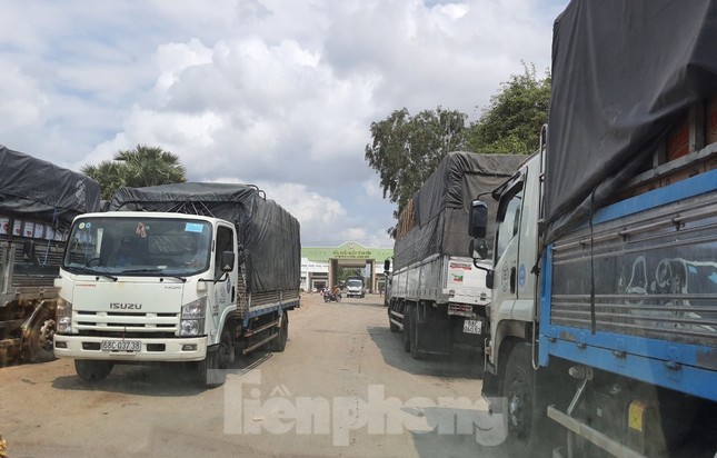 Kiên Giang: Siết chặt biên giới ngăn ngừa dịch COVID -19 ảnh 5