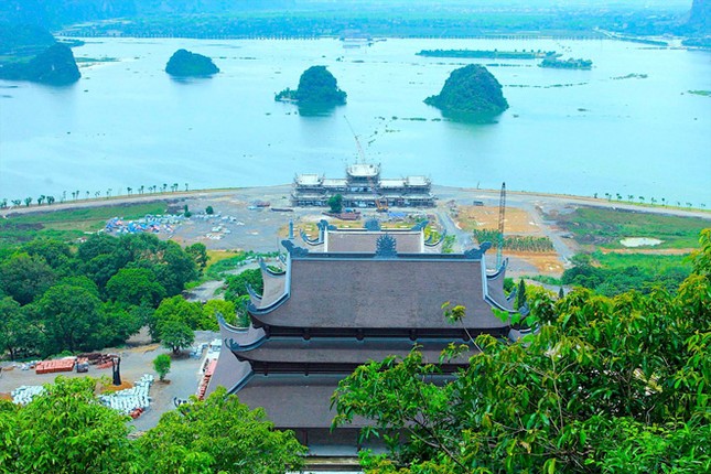 Ðến chùa Tam Chúc kể về cây bồ đề thiêng từ đất Phật ảnh 1