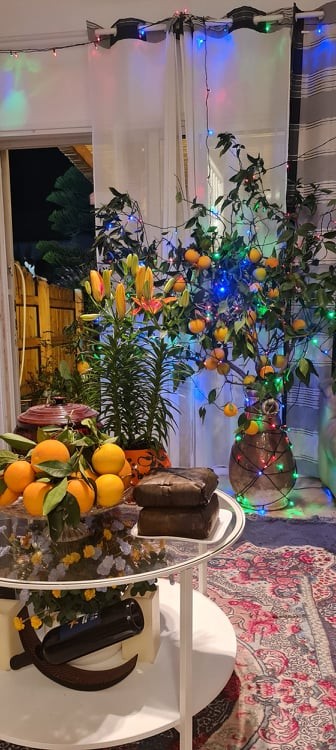 Nồi bánh chưng nóng bỏng giữa sa mạc Israel ảnh 2