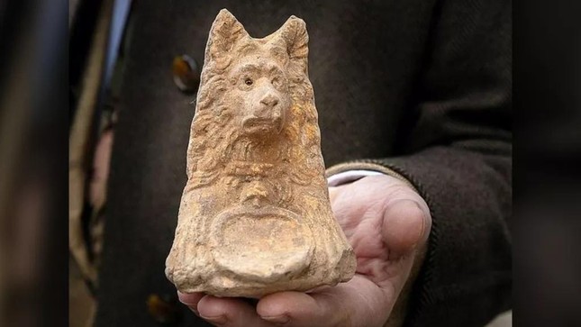 Bất ngờ tìm thấy bức tượng đầu chó cổ đại 2.000 năm tuổi ở Rome ảnh 1