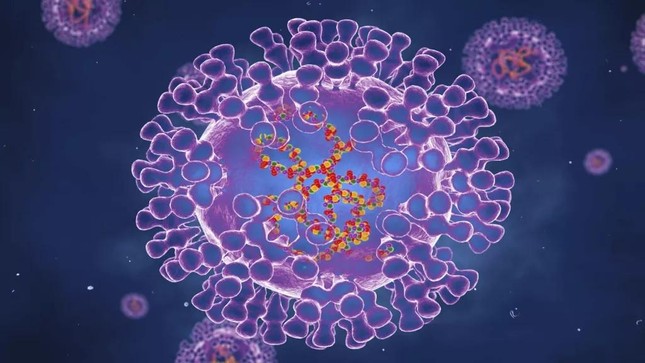 Báo động: Virus đậu mùa khỉ tiến hóa 'thần tốc' nhanh gấp 12 lần thông thường ảnh 1