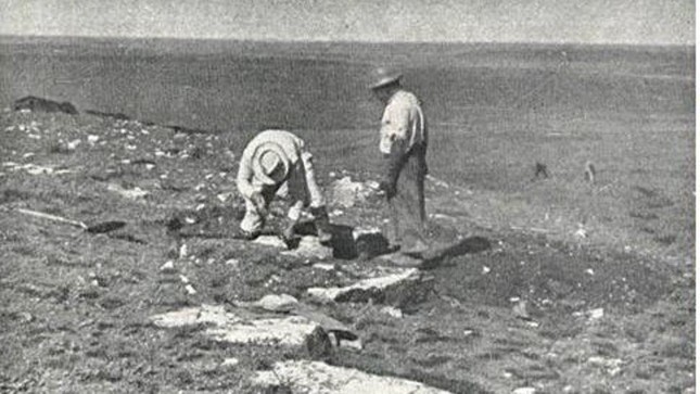 Tìm lại được “kho báu” hóa thạch mất tích sau 70 năm ảnh 1