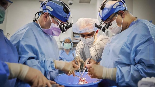 Kỳ tích y học: Cấy ghép thành công hai quả tim lợn cho bệnh nhân chết não ảnh 1