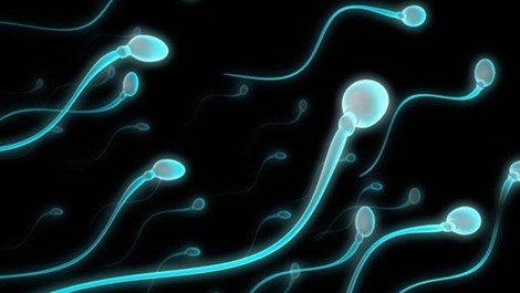 Những vấn đề có thể xảy ra với tinh dịch