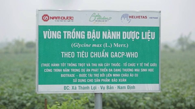 Mách chị em ‘bí quyết’ đẹp da, trẻ lâu nhờ đậu nành ảnh 2