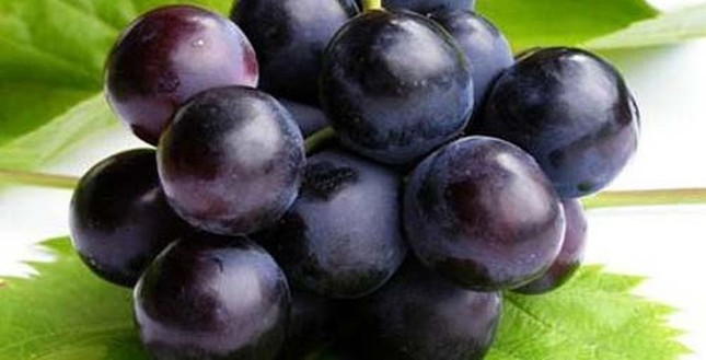 Những thực phẩm 'đại kỵ' cực nguy hiểm nếu ăn khi đau đầu ảnh 2