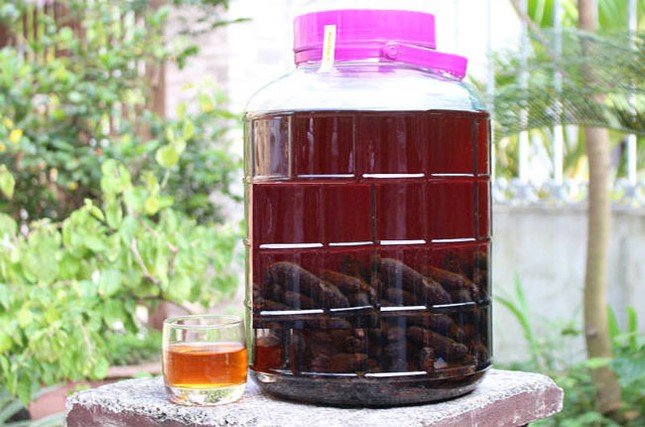 Chuối hột: 'Thần dược' chữa mỡ máu, đái tháo đường, bệnh thận cực kỳ tốt ảnh 2