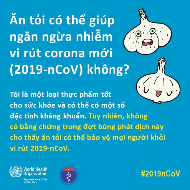 Thực hư thông tin ăn tỏi là 'diệt chết' virus corona ảnh 1