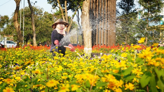 'Check-in' tại vườn hoa Tết khổng lồ ven sông Hương ảnh 11