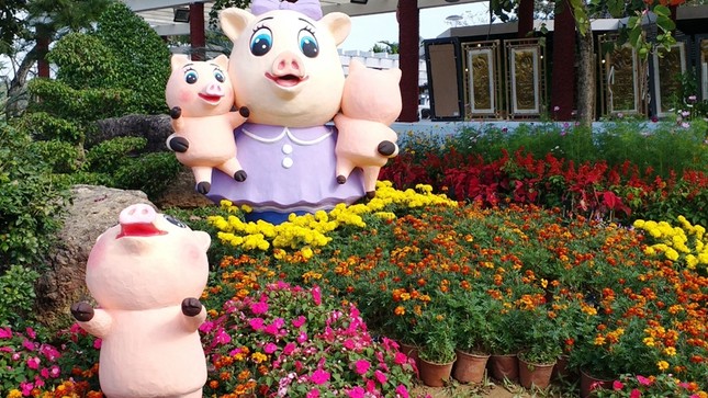 Rực sắc màu hội Xuân xứ Huế 2019 ảnh 2