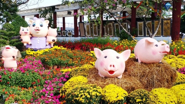 Rực sắc màu hội Xuân xứ Huế 2019 ảnh 1