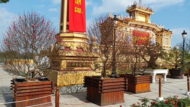 Rực sắc màu hội Xuân xứ Huế 2019 ảnh 7