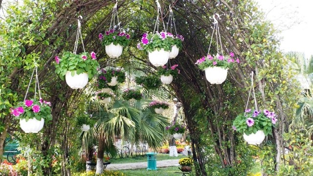 Rực sắc màu hội Xuân xứ Huế 2019 ảnh 5