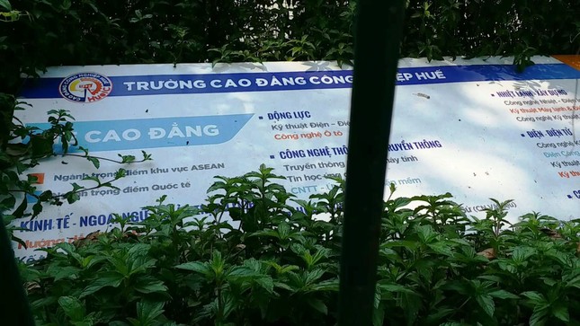 Vì sao cơ ngơi Trường CĐ Công nghiệp Huế ‘mắc cạn’ giữa rác? ảnh 2