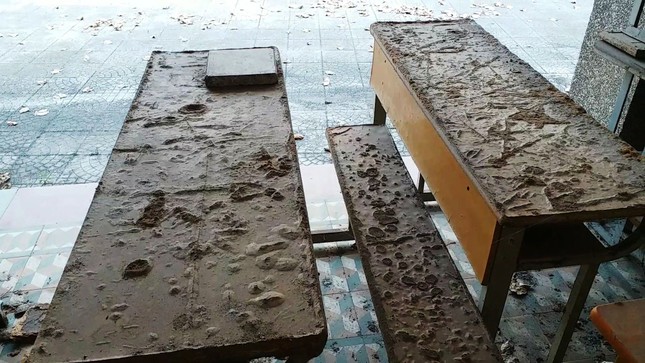 Vì sao cơ ngơi Trường CĐ Công nghiệp Huế ‘mắc cạn’ giữa rác? ảnh 8