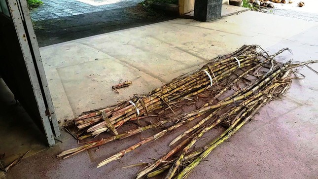 Vì sao cơ ngơi Trường CĐ Công nghiệp Huế ‘mắc cạn’ giữa rác? ảnh 11