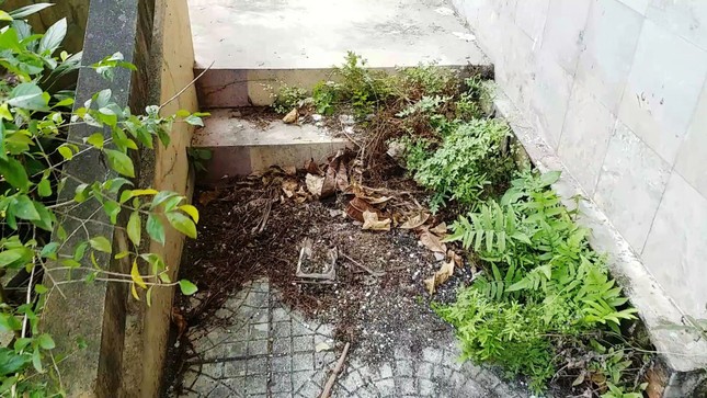 Vì sao cơ ngơi Trường CĐ Công nghiệp Huế ‘mắc cạn’ giữa rác? ảnh 12